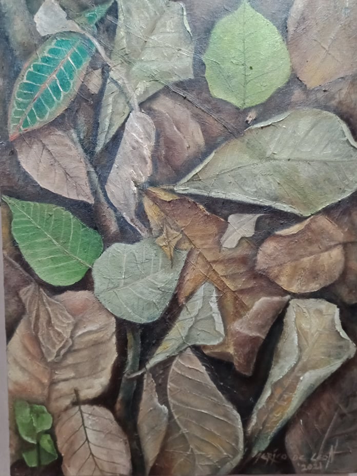 240466830_527455888544179_2767076885492715487_n